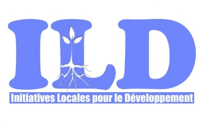 RDV Digital: diseño web y posicionamiento